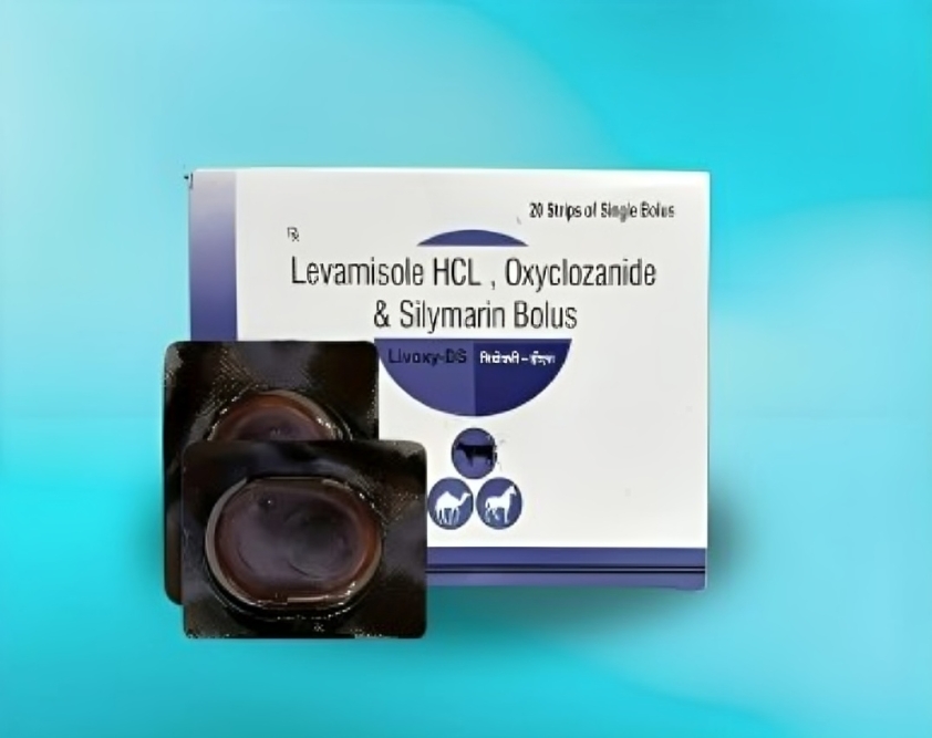 LIVOXY-DS BOLUS 